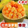 爆甜  红肉菠萝蜜 10-12斤