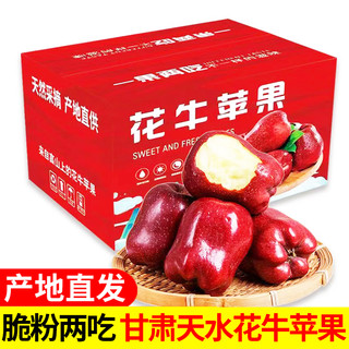金百粟 甘肃天水花牛粉面苹果 红蛇大果  5斤 精选4.5斤+彩礼箱