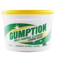 GUMPTION 多功能清洁膏 500g 柠檬味