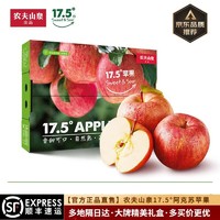 农夫山泉 17.5°苹果礼盒装 J级12枚【尊享果】果径92±4mm