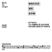 【埃塞手冲豆】治光师 BEAM TIMER埃塞古吉乌拉嘎精品手冲咖啡豆阿拉比卡100g