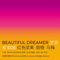 治光师 BEAM TIMER梦游者意式咖啡豆新鲜中度烘焙SOE咖啡豆美式咖啡150g/300g