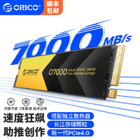 ORICO 奥睿科 黑金SSD固态硬盘长江存储PCIe4.0新一代M.2接口NVMe协议O7000 长江存储新一代PCIe4.0