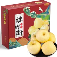 京鲜到 烟台黄金维纳斯苹果 严选4.5斤礼盒装（10-12粒）应季新鲜水果