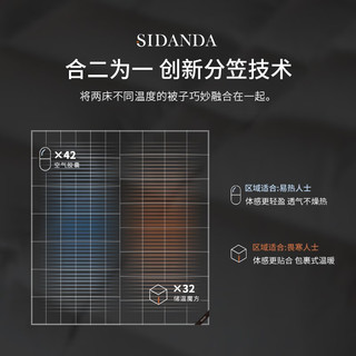 SIDANDA 诗丹娜 95%白鹅绒冬被分区温感控温羽绒被夫妻被保暖被子 95%白鹅绒 220*240cm双人被