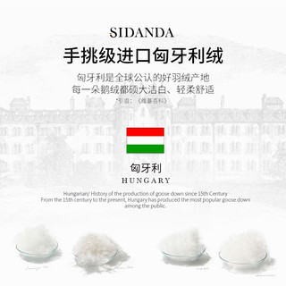 SIDANDA 诗丹娜 匈牙利95白鹅绒被高端真丝羽绒被 地暖被暖气被子被 2023 95 200x230cm