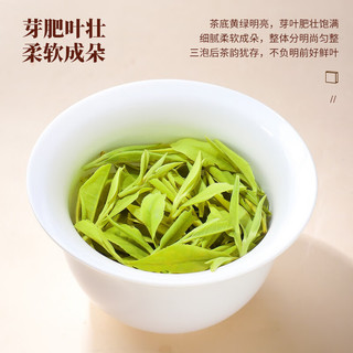 陈一凡 龙井茶 茶叶绿茶2023新茶春茶 便携小方片礼盒装30g