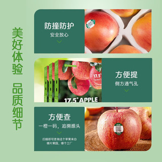 农夫山泉 17.5°苹果 圣诞节平安果 苹果礼盒装 XJ级11枚果径97±4mm