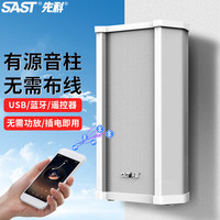 SAST/先科 户外蓝牙防水音柱壁挂式音响+10米音响线