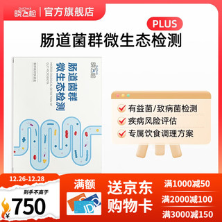 晓飞检 迪安晓飞检肠道菌群失调检测儿童成人孕妇