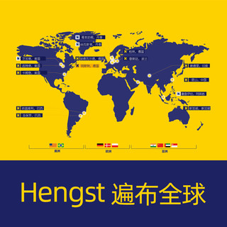 Hengst 汉格斯特 机油滤清器机滤芯格 奔驰车系 E823HD263 新奔驰A级/SMART0.9T