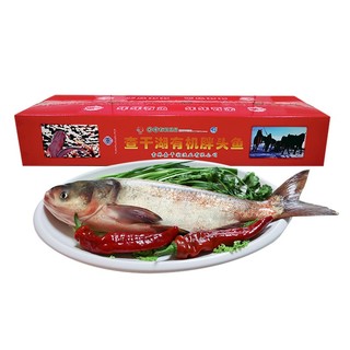 有机认证产品：CHINGREE 查干湖 冬捕有机胖头鱼整条 年货春节礼盒  4.6-6斤