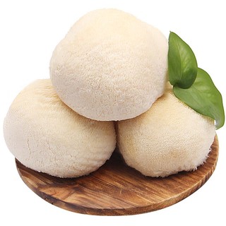 Gusong 古松食品 古松新鲜猴头菇 山珍菌菇炖汤火锅食材 2斤