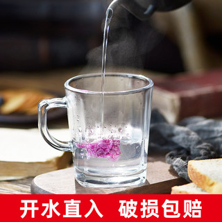 玻璃杯套装家用客厅水杯待客杯子啤酒杯耐热带把喝水茶杯家庭10只