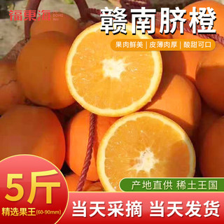 福東海 果冻橙大果10斤