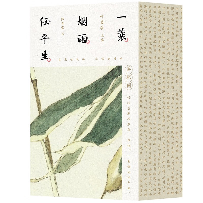 《一蓑烟雨任平生·苏轼词》（套装共3册）