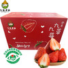 鑫久盈 丹东草莓99红颜奶油草莓礼盒装 大果1400g（单果25-35g）