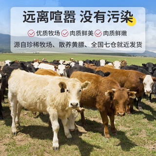 YASEEGO 羊食光 草原散养新鲜现杀牛肉套餐10斤牛肉整切牛腿肉生鲜牛肉礼盒 全牛套餐