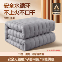 志高水暖电热毯主机循环泵家用水暖毯水循环水褥子水热毯电热毯 单水暖毯0.9*1.8米-不带主机 （通用单独主机）