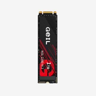 GeIL 金邦 N3L SATA 固态硬盘 1TB