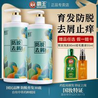 BAWANG霸王防脱洗发水育发控油止痒去屑洗发露套装480g