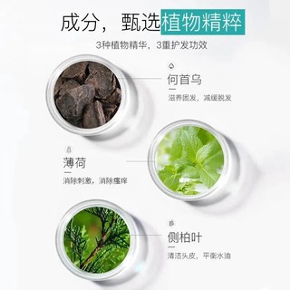 霸王防脱洗发水育发控油止痒去屑洗发露套装480g