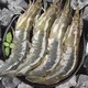 XYXT 虾有虾途 渤海大虾 17-19厘米 4斤