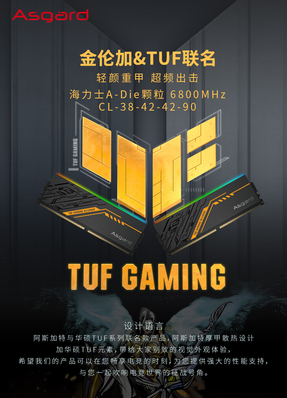 Asgard 阿斯加特32GB(16Gx2)套装DDR5 6800 台式机内存条TUF RGB灯条海