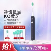 PHILIPS 飞利浦 成人电动牙刷2种模式声波震动入门款HX2431