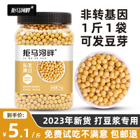 拒马河畔 东北新黄豆农家一级非转基因自种有机黄豆500g