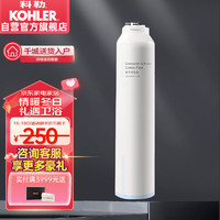 科勒（KOHLER）净饮机厨房直饮机净水滤芯KP040复合活性炭滤芯K-80031T-R1