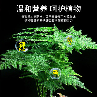 尚洋文竹植物营养液免稀释100ml园艺绿植花卉盆栽养花肥料液体肥