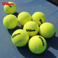 Wilson 威尔胜 专业训练标准网球耐用练习袋装弹力60个组合套装