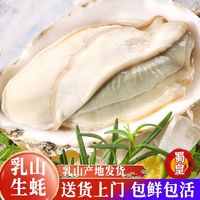 蜀皇 生鲜乳山生蚝净重5斤超大190-240g/只生鲜海鲜