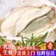  蜀皇 生鲜乳山生蚝净重5斤超大190-240g/只生鲜海鲜　