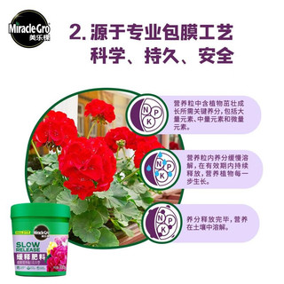 美乐棵 家庭园艺 缓释营养粒通用型花卉肥料花肥养花植物 花卉型300g