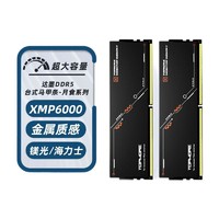 百亿补贴：TOPMORE 达墨 DDR5 5600MHz 台式机内存条 96GB（48GB*2）马甲条