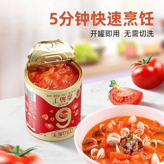 屯河 高汤新鲜番茄丁罐头 300g*6罐