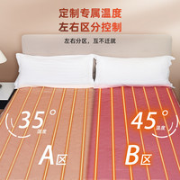 Royalstar荣事达电热毯双人双控智能调温家用床上除潮湿单人电褥子宿舍