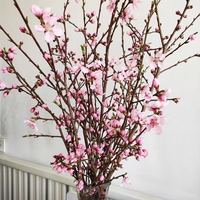 万千气象 干枝红梅 10支 80cm