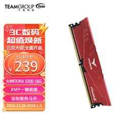 Team 十铨 火神系列 Z DDR4 3200MHz 台式机内存 马甲条 红色 16GB