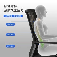 奈高 NAIGAO）弓形电脑办公椅子办公家用职员久坐麻将椅简约AA01