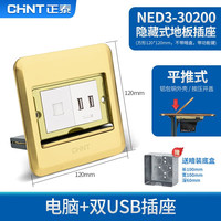 正泰（CHNT）地插插座 隐藏式五孔防水阻尼地插座 隐形薄平推式地面插座 平推式地插-电脑双USB