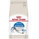  ROYAL CANIN 皇家 I27室内成猫猫粮 4.5kg　