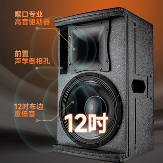 山水（SANSUI）KS312专业KTV音响家用家庭影院卡拉ok音箱大型舞台会议演出设备12英寸大功率重低音一对