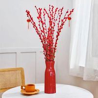 如一花开 红色干花室内水培装饰灯笼