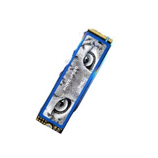 MOVE SPEED 移速 雪豹系列 NVMe M.2 SSD固态硬盘 2TB（PCIe 4.0）长江存储晶圆