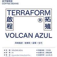 【Terraform】蓝莓 抗病种系列哥斯达黎加蓝色火山庄园日晒咖啡豆