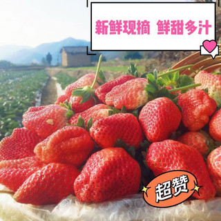 姬幻 今日秒杀！红颜99草莓 2.5斤装 单果15-30g 顺丰+京东