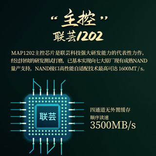 梵想SSD固态硬盘 M.2接口PCIe 4.0 x4 长江存储晶圆 国产颗粒 PR 梵想 S500PRO 512G